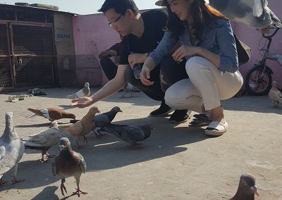 Feeding Pigeons at Old Delhi